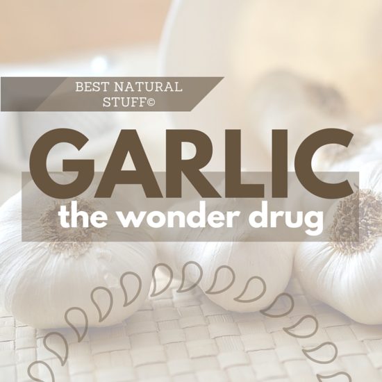 Medicinal Garlic